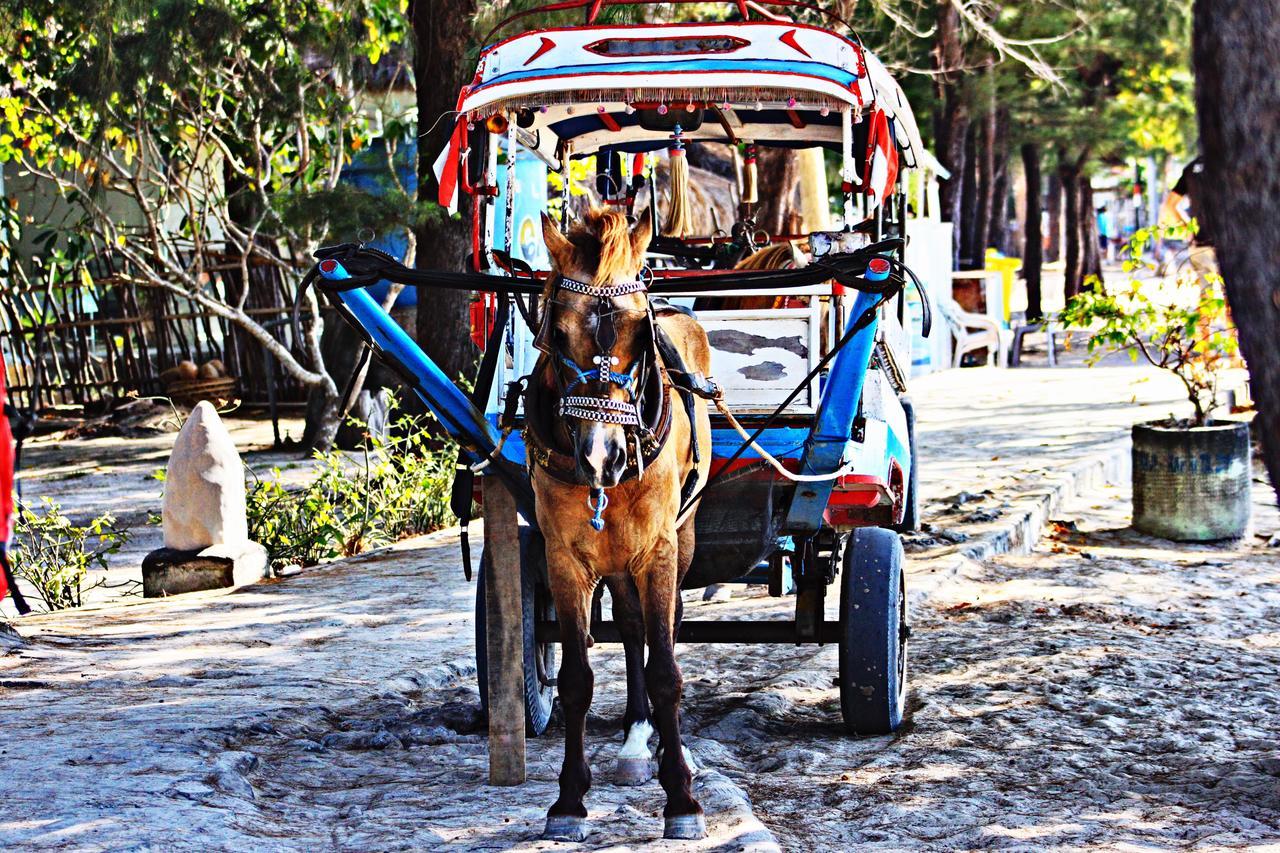 Meno Dream Resort Gili Meno Eksteriør bilde